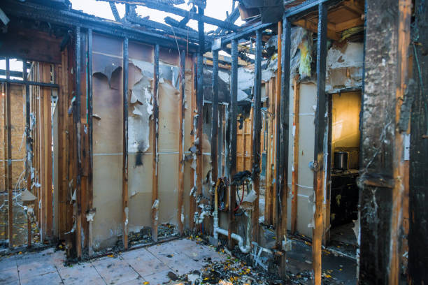Professional Smoke Damage Removal technician working in Lansdowne, PA